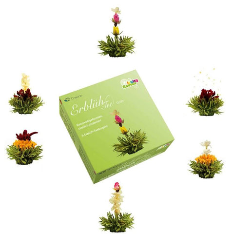 Creano Geschenkbox Erblühtee Grüner Tee